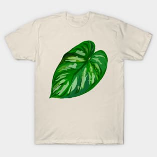 Philodendron 'Plowmanii' T-Shirt